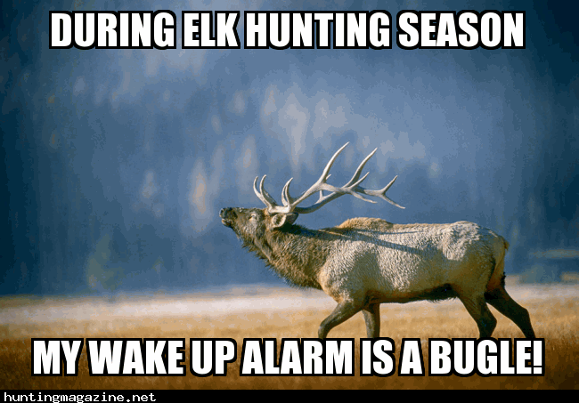 12 Funny Hunting Memes That Every Redneck Will Love Design Press
