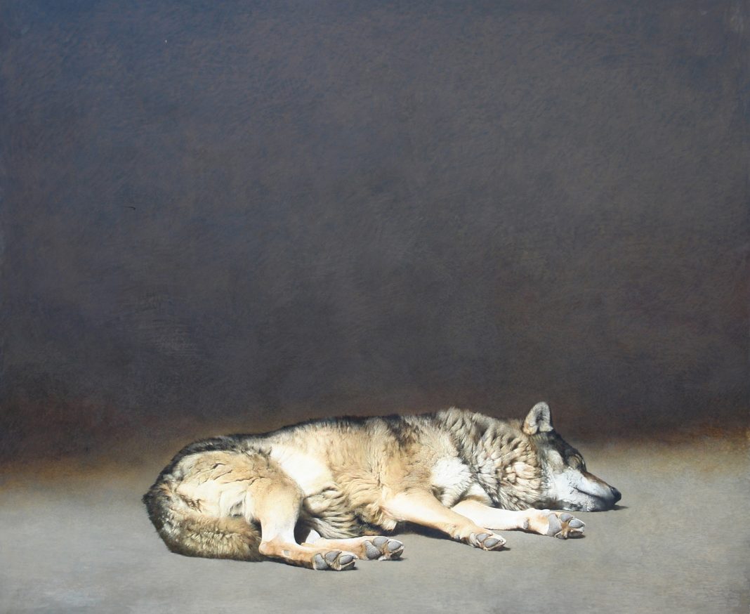 Sleeping Wolf by Marzio Tamer: An Italian Artist