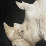 Painter: Marzio Tamer - White Rhino - Watercolour and Dry Brush