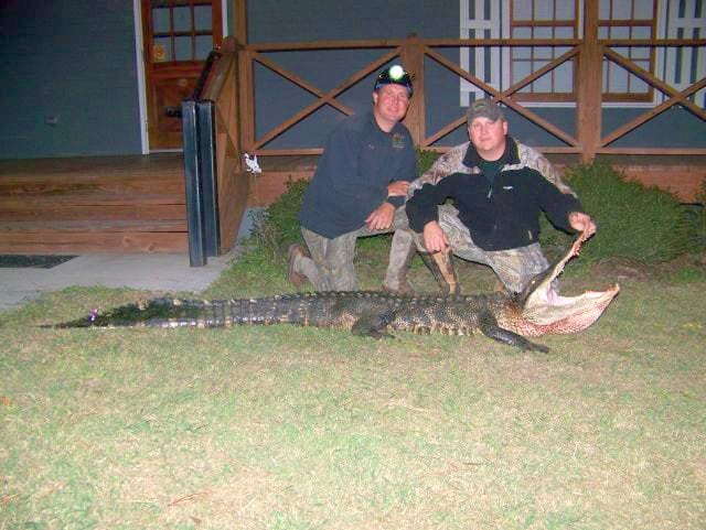 Alligator Hunting | Hunting Magazine