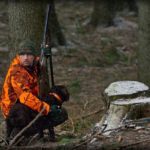 Hunting Wild Boar in Lomensko