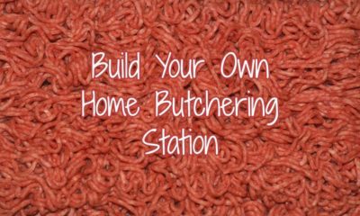 Build Your Own Home Butchering Station