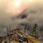 Hunting Chamois On The Roof Of The Mountains