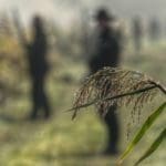 Duck Hunters | Hunting Magazine