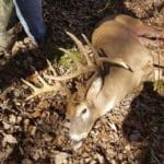 Huntress Theresa Herr
