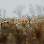 Hunting day in Slovakia