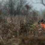 Hunting day in Slovakia