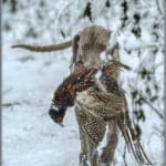Hunting Day Slovak University of Agriculture