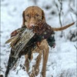 Hunting Day Slovak University of Agriculture