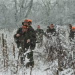 Hunters Hunting in winter wearing blaze orange hunting clothing making deer drive
