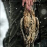 Hunting Day Slovak University of Agriculture