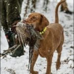 Hunting Day Slovak University of Agriculture