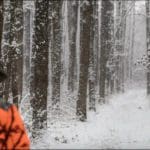 Hunters Hunting in winter wearing blaze orange hunting clothing