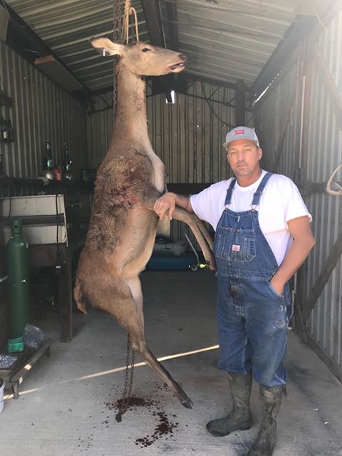 Calvin Hogg Jr shot this Red Stag While Hunting in Kountze Texas (2)