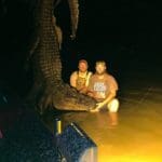 Massive South Carolina Gator Taken by Hunter Neeley