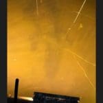 Massive South Carolina Gator Taken by Hunter Neeley