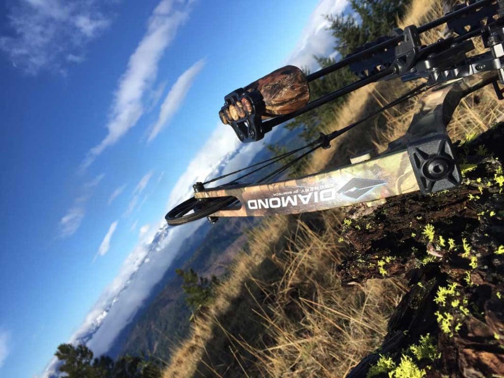 5 Proven Tactics For Bow Hunting In The Rain Hunting Magazine