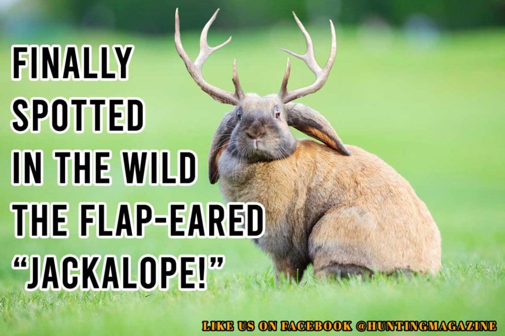Funny Deer Hunting Meme Elusive FlapEared Jackalope in the Wild