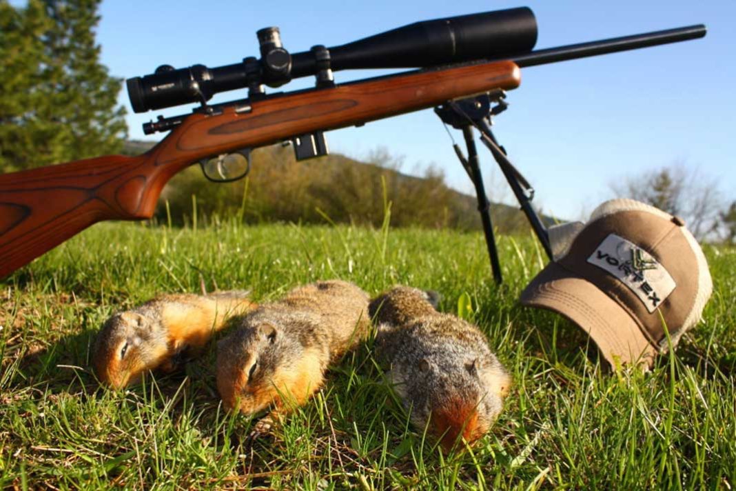 5 Tips To Find Best 22lr Scope For Squirrel Hunting | Hunting Magazine