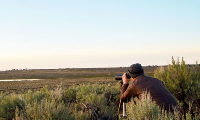 Long-distance Experiment with a Spotting Scope | Hunting Magazine