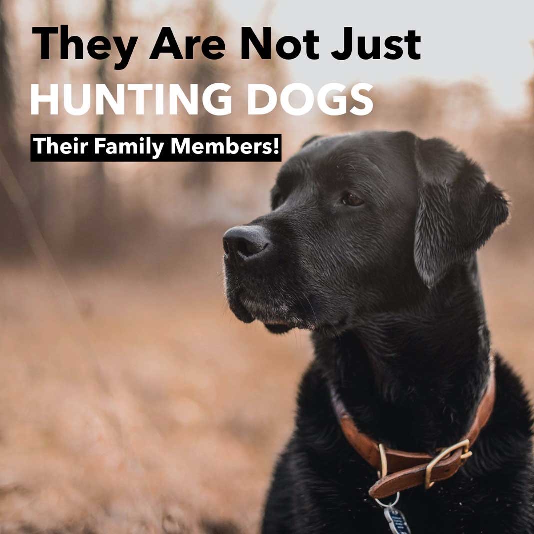Hunting Meme: They Are Not Just Hunting Dogs - Their Family Members | Hunting Magazine