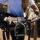8 WAYS TO CHECK THE FIT OF YOUR SADDLE