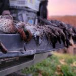 Ducking Hunting Season with Danielle Fairman & Duck Dog Bandit