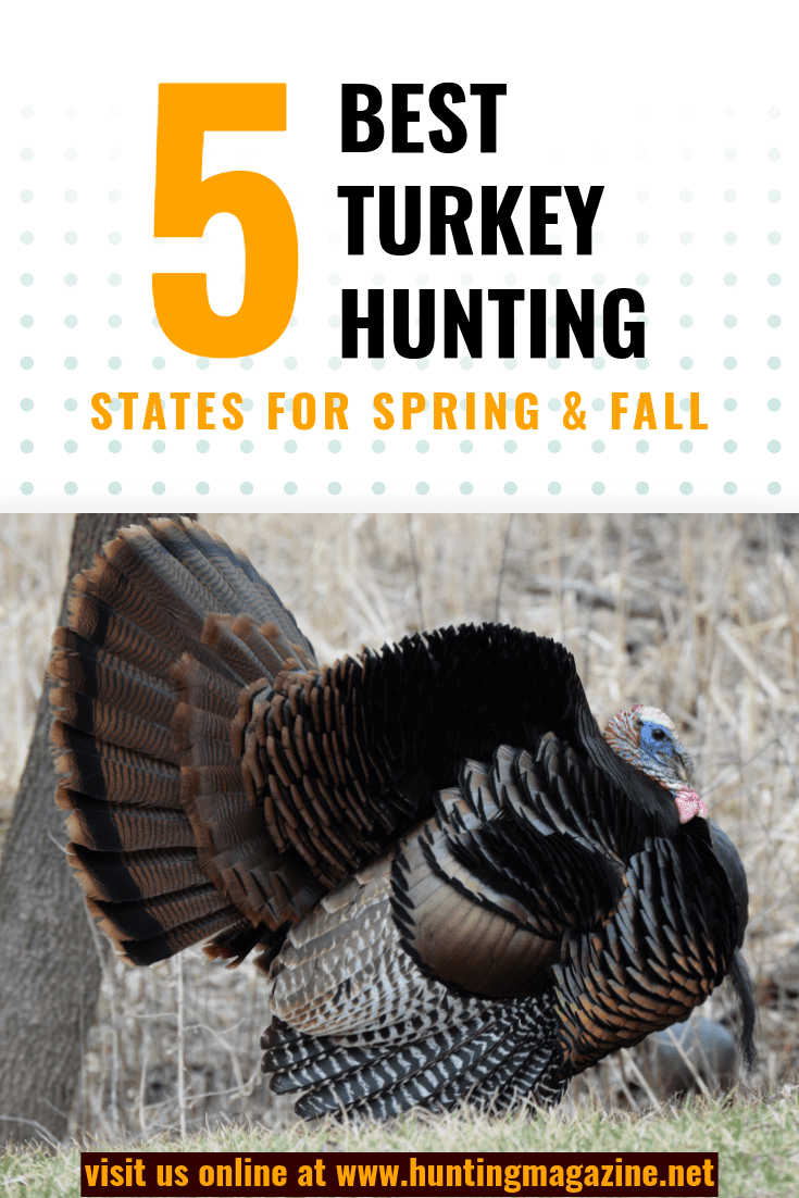 5 Best Turkey Hunting States Hunting Magazine