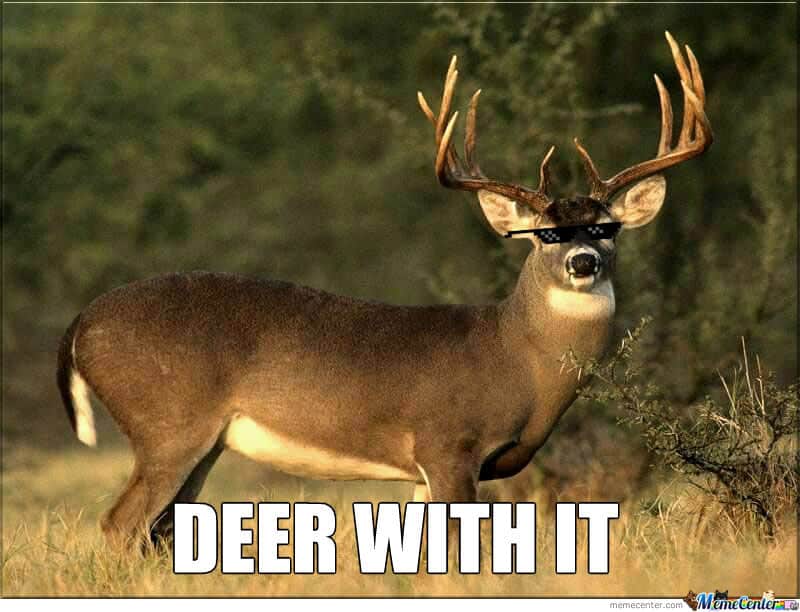 Hunting Meme: Deer with it!