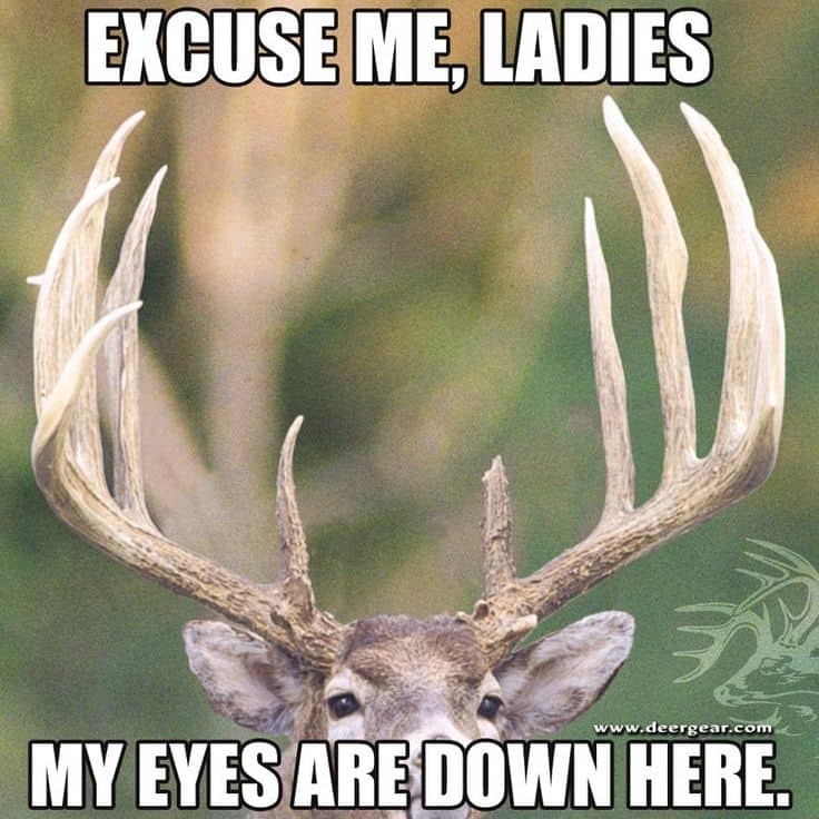 Hunting Meme: Excuse me, ladies my eyes are down here!