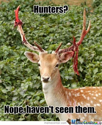 Funny Hunting Memes: Hunters? No, I haven't seen any of them.