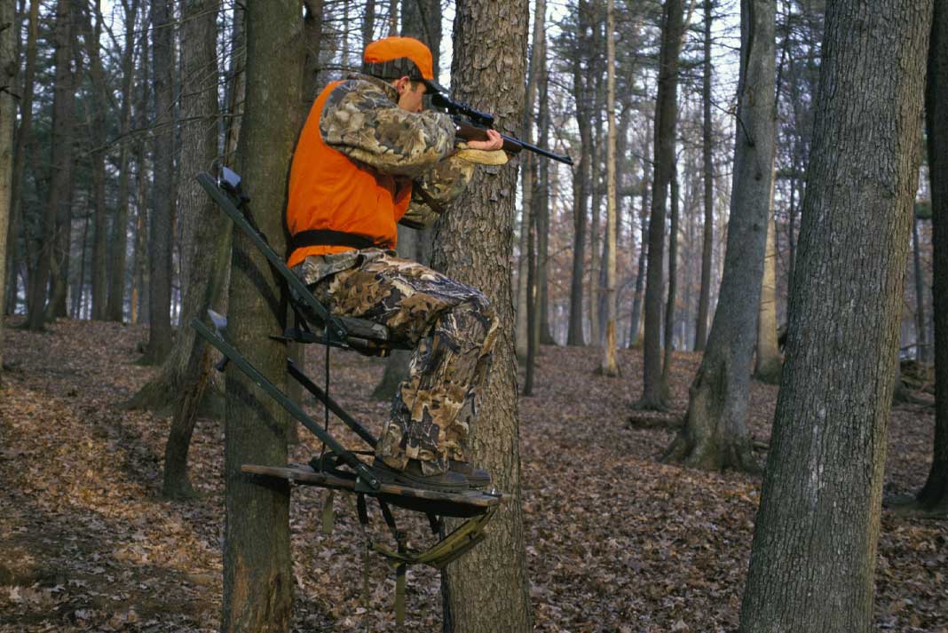 Mn Deer Opener 2022 - Hunting Magazine
