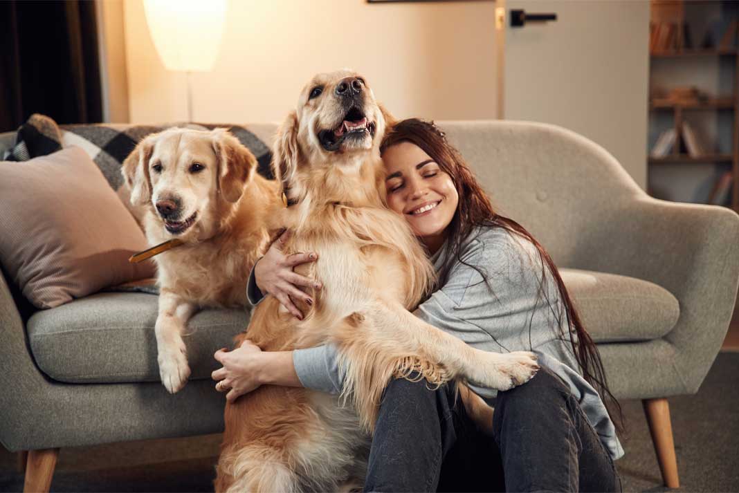 Bonding with Hunting Dog Living Indoors - Hunting Magazine