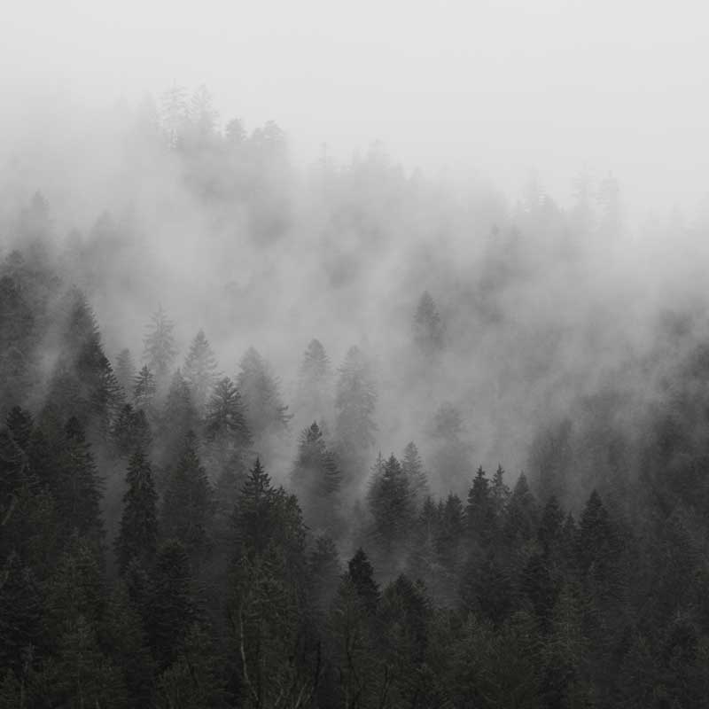 Hunting Weather