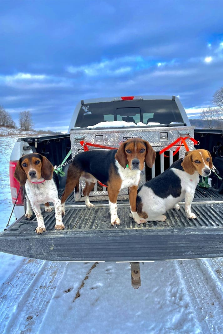 End to a Long Day of Rabbit Hunting - Hunting Magazine