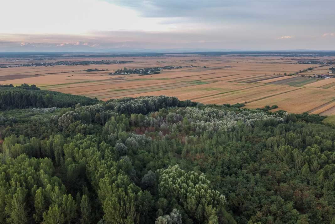 Finding and Securing a Hunting Lease