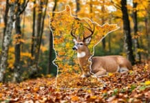 Decoding the Deer Compass: Your Expert Guide to MN Deer Hunting Zones in 2025 Decoding the Deer Compass Your Expert Guide to MN Deer Hunting Zones in 2025
