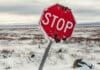 The Public Land Precedent: Why a Road in Alaska Threatens Your National Refuge Access The Public Land Precedent Why a Road in Alaska Threatens Your National Refuge Access