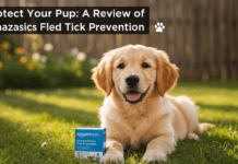 Protect Your Pup: A Review of Amazon Basics Flea and Tick Prevention Protect Your Pup: A Review of Amazon Basics Flea and
