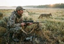 Late Spring Coyote Hunting: Why May is Prime Time late spring coyote hunting why may is prime time
