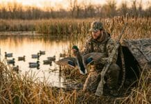 Late Spring Duck Hunting Tips for Extended Seasons 2026 late spring duck hunting tips for extended seasons 2026