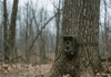 Best Trail Camera for Deer Hunting in 2026 best trail camera buying guide