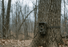 Best Trail Camera for Deer Hunting in 2026 best trail camera buying guide