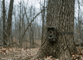 Best Trail Camera for Deer Hunting in 2026 best trail camera buying guide