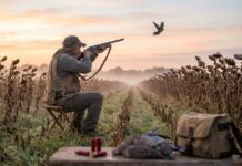 Iowa Mourning Dove Hunting Season 2026: Opens Sept. 1 — Guide & Tips Iowa Mourning Dove Hunting Season
