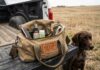 The Hunting Dog Tick & Flea Field Kit: What to Keep in Your Truck The Hunting Dog Tick & Flea Field Kit What to Keep in Your Truck