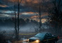Hunter Charged in Fatal Sussex County, Delaware Shooting Delaware wildlife enforcement truck at wooded site in Sussex County fatal hunting shooting investigation